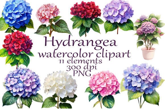 Download Hydrangea Watercolor Clipart PNG - Watercolor Collection